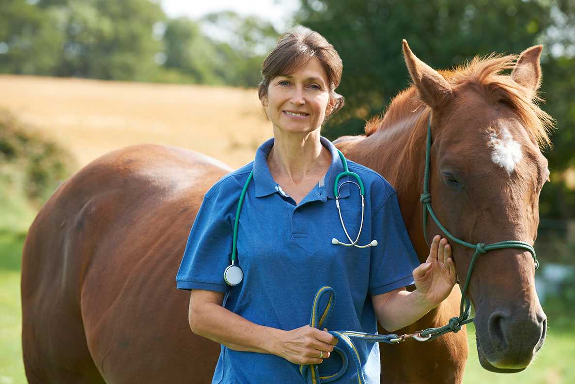 Veterinarian With Horse