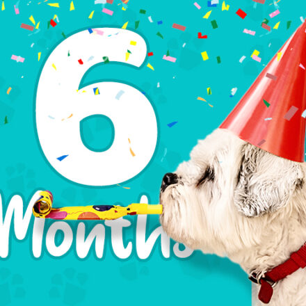 six-months