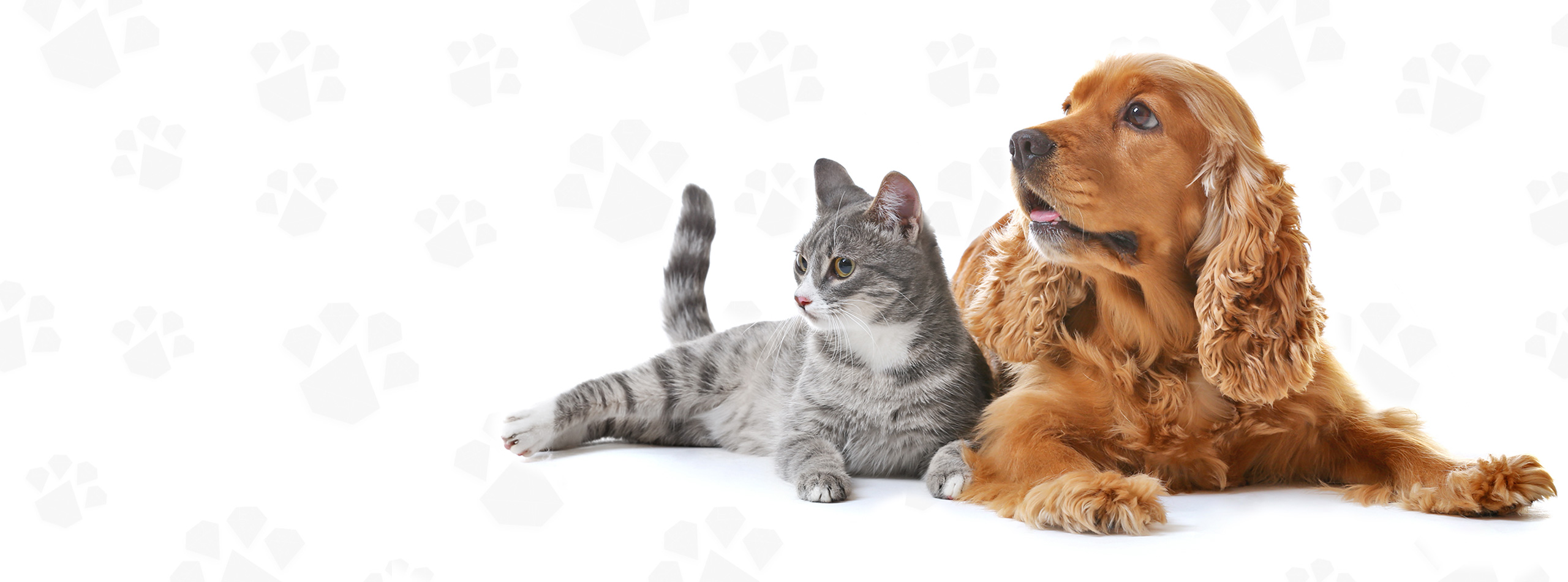 Veterinary